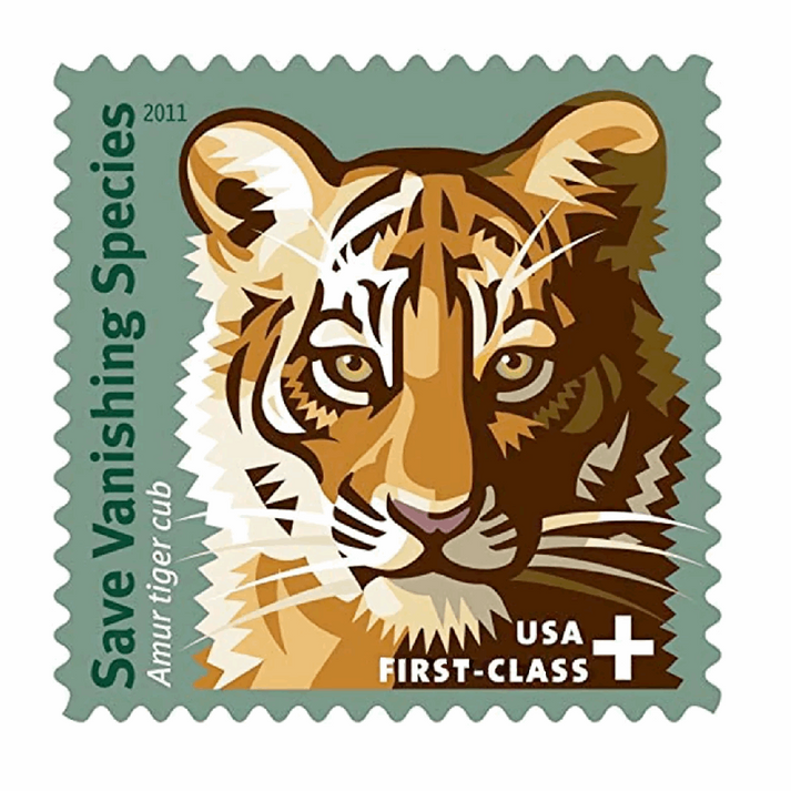 Save Vanishing Species Amur Tiger 2011