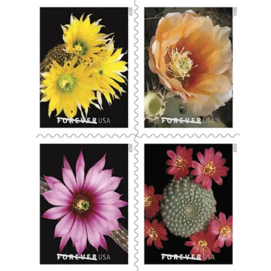 Cactus Flowers 100pcs(5 sheets)