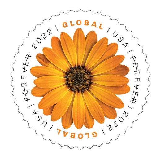 Global African Daisy 2022  50pcs(5 sheets)