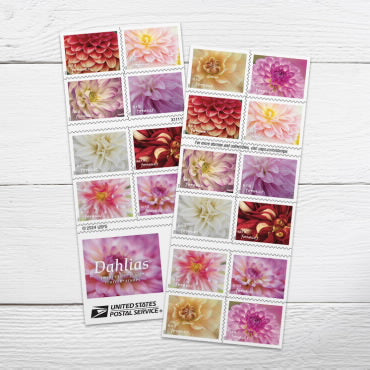 Dahilias stamps
