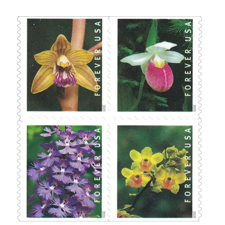 Wild Orchids 100pcs(5 sheets)