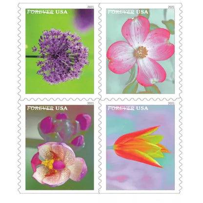 Garden Beauty 2021 100pcs(5 sheets)