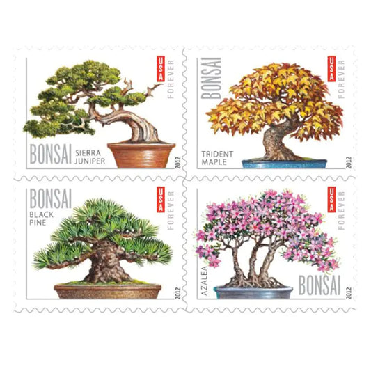 Bonsai Tree  100pcs(5 sheets)