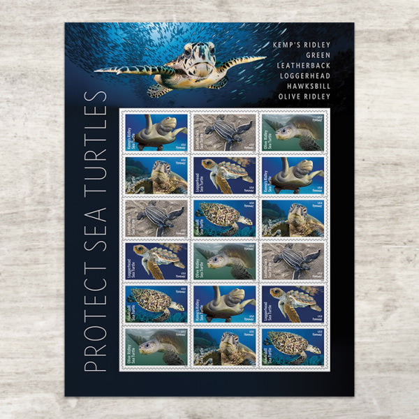 Protect Sea Turtle stamps --2024