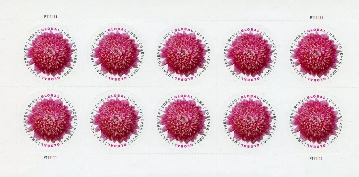 Global Chrysanthemum 2020 50pcs(5 sheets)