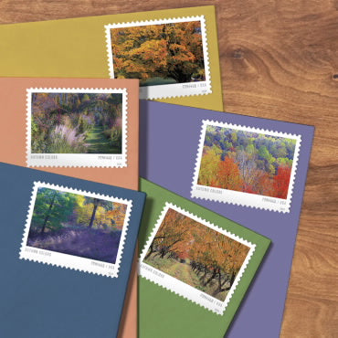 Autumn Colors Stamps-2024