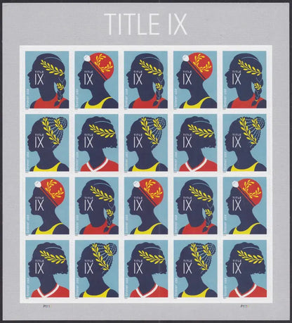 Title IX, 100 Pcs