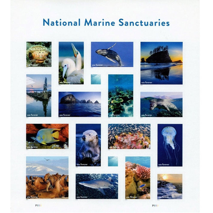 National Marine Sanctuaries 2022 80pcs