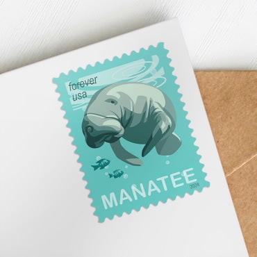 Save manatees 2024