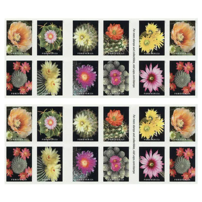 Cactus Flowers 100pcs(5 sheets)