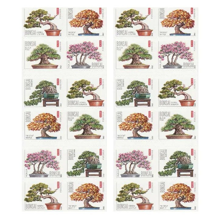 Bonsai Tree  100pcs(5 sheets)