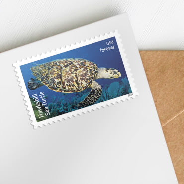 Protect Sea Turtle stamps --2024