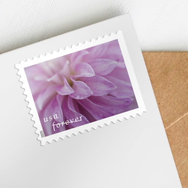 Dahilias stamps