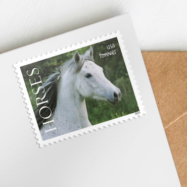 Horses Forever stamps 2024