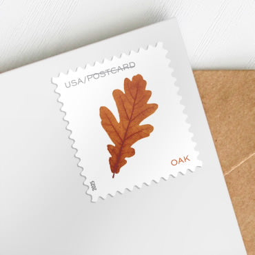 Vibrant Leaves postcard stamps-2025