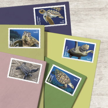 Protect Sea Turtle stamps --2024