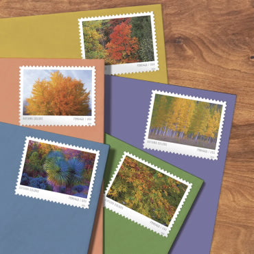 Autumn Colors Stamps-2024