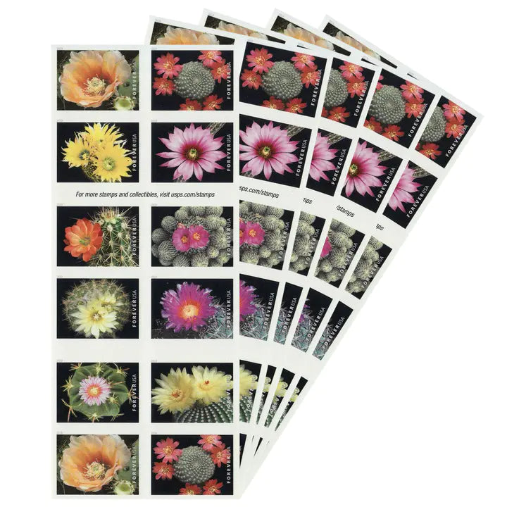 Cactus Flowers 100pcs(5 sheets)