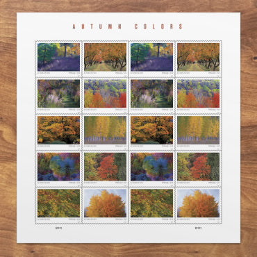 Autumn Colors Stamps-2024