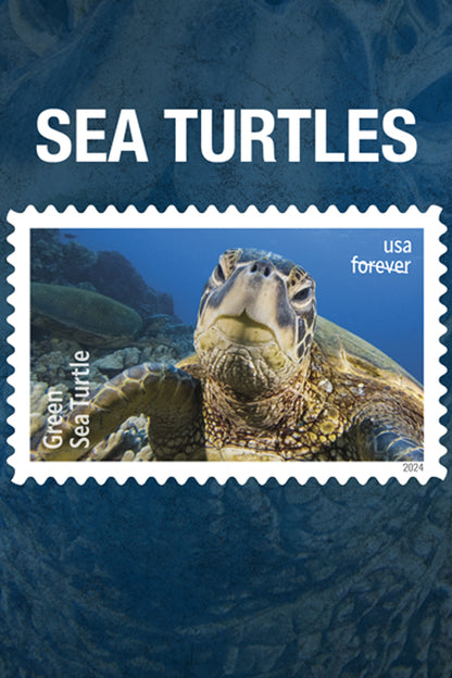 Protect Sea Turtle stamps --2024