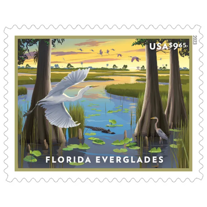 Florida Everglades, 20 Pcs