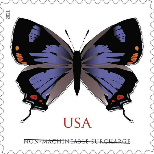 Colorado Hairstreak 2021