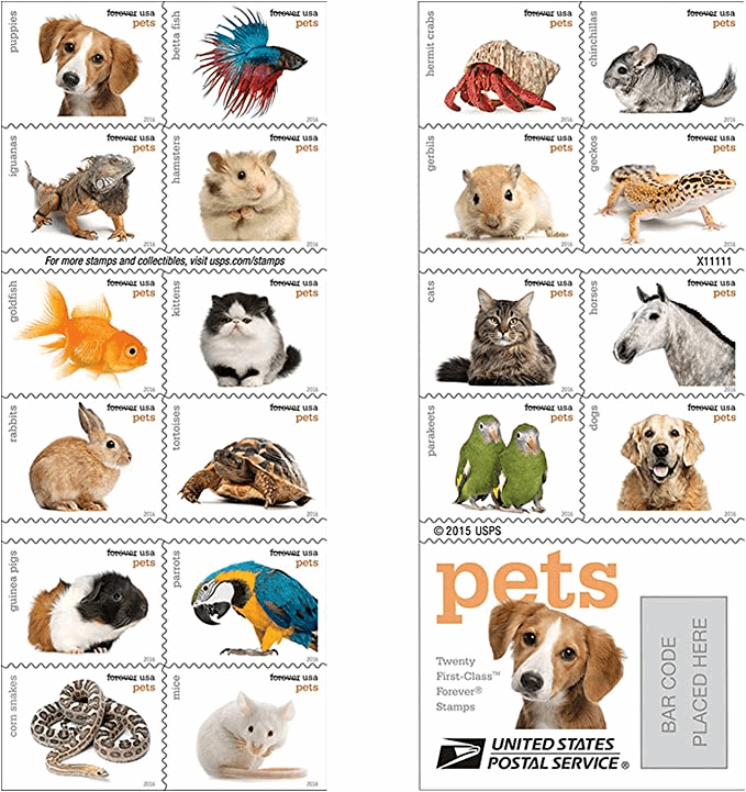 Pets Celebrate Animals 2016