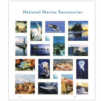 National Marine Sanctuaries, 80 Pcs