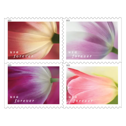 Tulip Blossoms 100pcs (5 sheets)