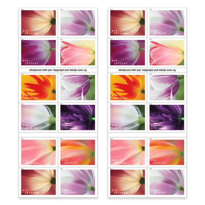 Tulip Blossoms 100pcs (5 sheets)