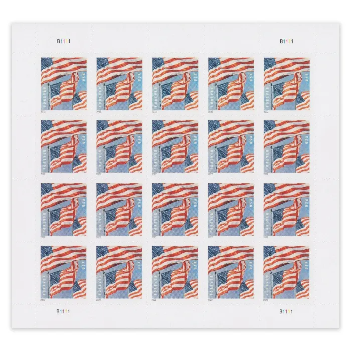 U.S. Flag 2022, 100 Pcs