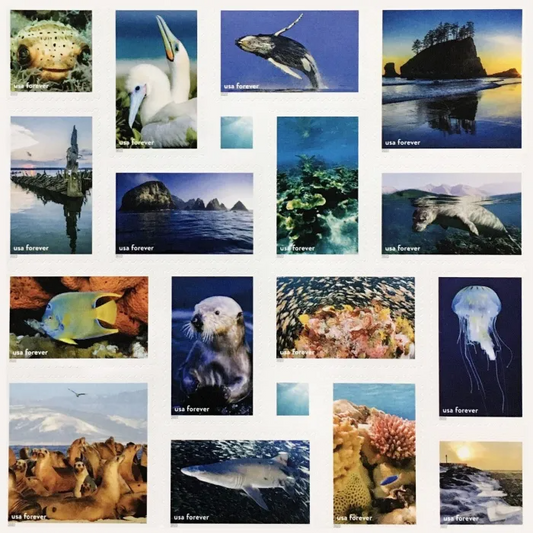 National Marine Sanctuaries, 80 Pcs