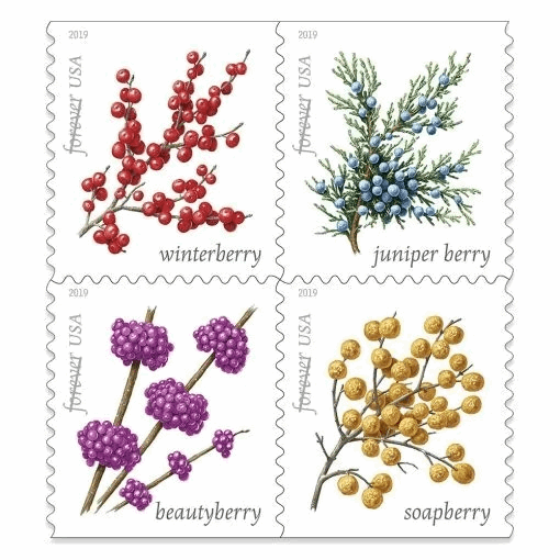 Winter Berries 2019  100pcs